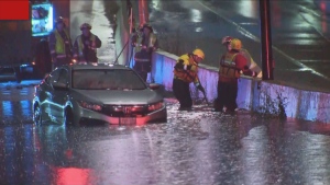 Toronto thunderstorms down trees, leave vehicle flooded on Gardiner