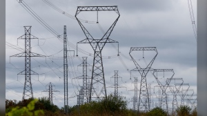Ontario may need to import electricity during extreme weather: report