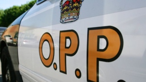 Driver sought after shooting at officer during Toronto traffic stop: police