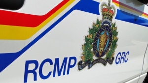 Sask. driver dead following SUV and semi crash on Highway 4