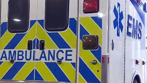 1 person hospitalized after being struck by train