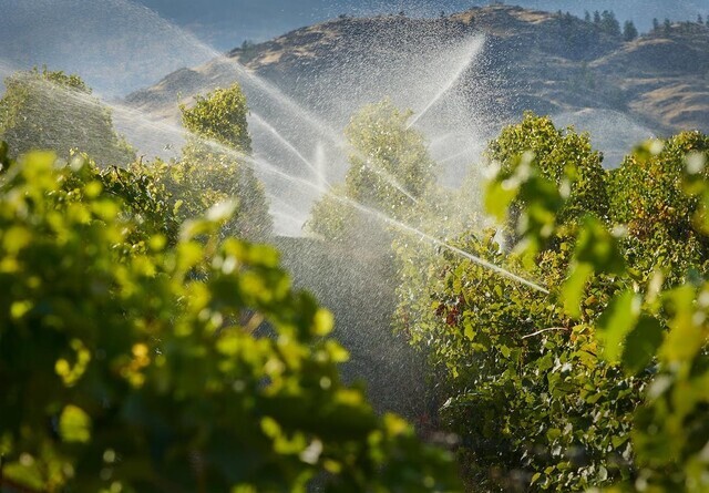 Water limits for Kelowna agricultural customers may be eased as water levels rise