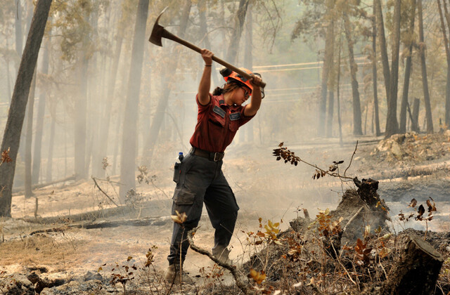 Report on 2023 Central Okanagan fires notes need to enhance training, initiatives