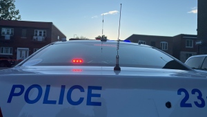 Man, 26, hospitalized after being stabbed in Montreal park