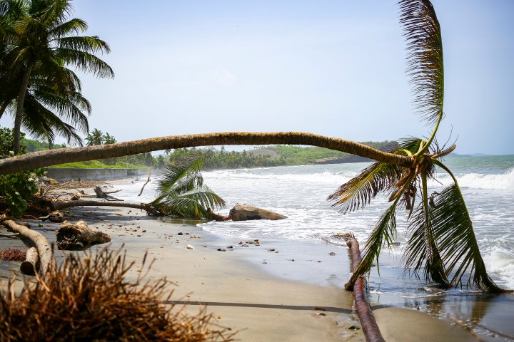 Hurricane Beryl forces Canadian airlines to cancel flights. What to know
