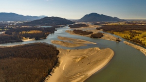 Environmental group buys Fraser River island near Chilliwack, B.C., to protect salmon