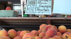 With no local supply, B.C. farm markets forced to import stone fruit from the U.S.