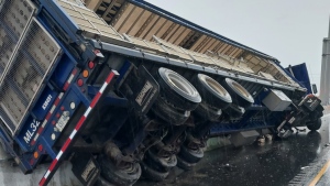 Live chickens on Hwy 401 after collision in Milton: police