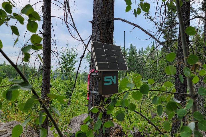 AI wildfire detectors in Vernon, B.C. to remain beyond pilot project