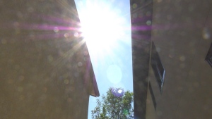 Extreme heat prompts calls for a 'maximum temperature bylaw' forcing landlords to cool rentals