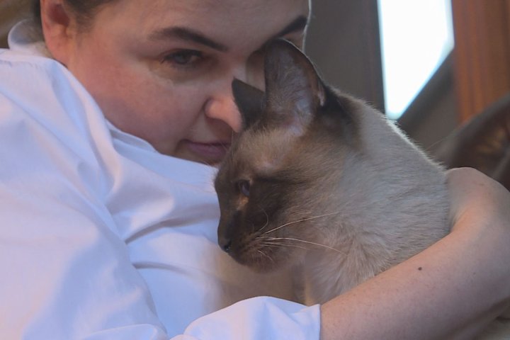 Clients raise concerns over animal care at Calgary pet hospital