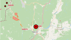 Lightning sparks wildfire near Merritt, B.C.