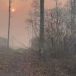 Saskatchewan limits provincial fire ban to northern forests only