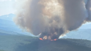 Wildfire Service orders evacuation for properties in B.C.'s Princeton area