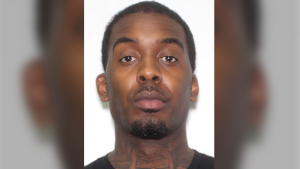 Man wanted in connection with kidnapping of Elnaz Hajtamiri arrested in U.S.
