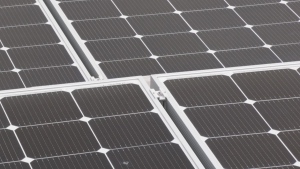 Alberta's rooftop solar boom driving shady sales tactics, advocates warn
