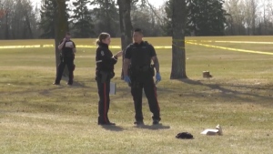 1 of 7 teens involved in deadly attack near Edmonton school sentenced