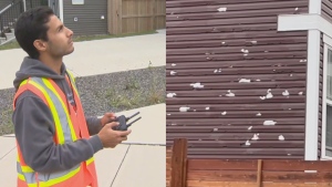'A lot of damage': Research team surveying Calgary hail storm damage