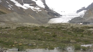Columbia Icefield to reopen on Friday: Parks Canada