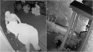 Video released of arson suspects allegedly setting fire to Vaughan, Ont. Home
