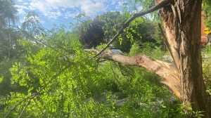 Tropical storm Debby remnants brings significant rainfall to Montreal, Eastern Canada
