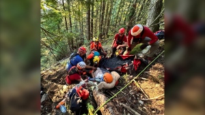 B.C. volunteers rescue injured hiker who fell 50 feet