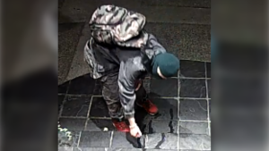 Police searching for arson suspect in Oak Bay, B.C.