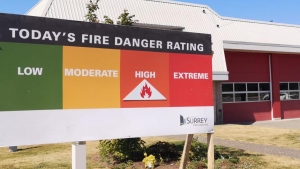 Mayor seeking to mitigate risks after Surrey sees 350 brush, grass fires in 3 months