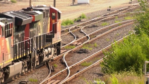 'Nothing will move': Concern over rail strike reaches fever pitch in commodity-driven Saskatchewan