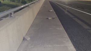 Man charged for allegedly throwing eggs at cars from Highway 403 overpass