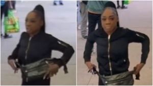 Suspect sought in suspected hate-motivated assault at Finch West Station: police