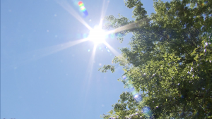 B.C. migrant workers suffering through 'excessively hot conditions,' study finds