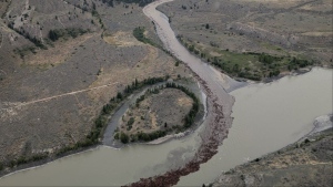 B.C. landslide 'dramatically' impacts salmon spawn but conditions improve: task force