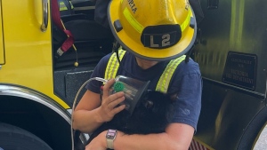 Victoria firefighters rescue cat and 6 kittens after apartment blaze