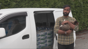 ‘The whole system we have is broken’: B.C. farmer launches pop-up markets, aims to disrupt agriculture economy