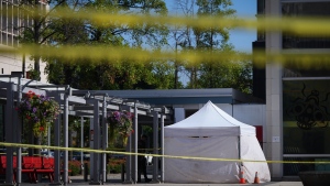 BC Conservatives decry 'lawlessness ' after gruesome Vancouver stranger attacks