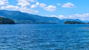 Major crime unit called for suspicious death in Lake Cowichan, B.C.