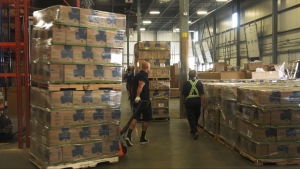 Over 17,000 cases of Chocolate Mint Girl Guide cookies arrive in Calgary as fundraising campaign kicks off