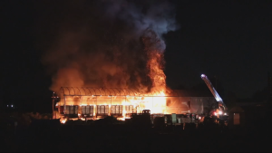 Fire destroys commercial greenhouse in Surrey