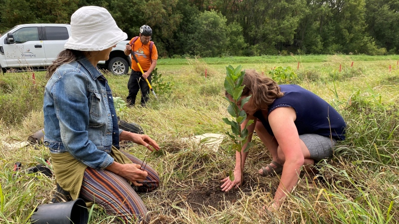 They're not alone': Forest of Hope aims to help those impacted by suicide