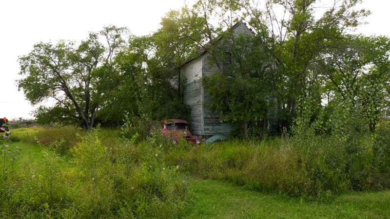 'We persevere': Ladies group holds lifeline for southern Manitoba ghost town