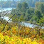 Warm daytime highs for the next few days