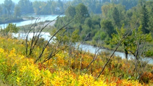 Warm daytime highs for the next few days