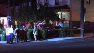 Driver arrested after crashing into house in Toronto's west end: police