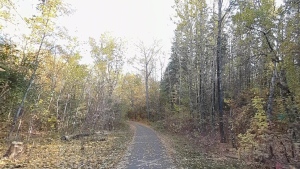 Man found dead in Edmonton river valley was shot to death: autopsy