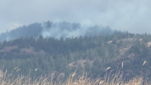 Wildfires on Vancouver Island down this season compared to 10-year average