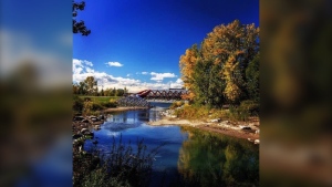 Cold overnight, but warmer for the weekend in Calgary