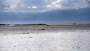 Military issues warning ahead of explosives training on B.C. island