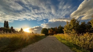 Starting to feel like fall in Calgary with chilly, gusty conditions