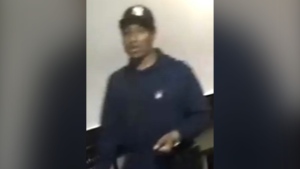 Toronto police search for suspect in east-end stabbing